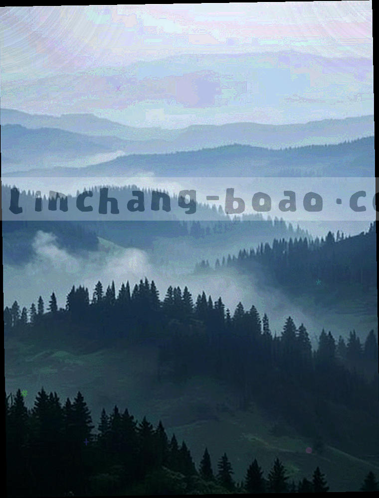 球场纵向视角，看台与草皮向画面上方延伸，强调纵深与推进感